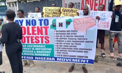 Pro-Government Protesters Gather In Lagos, Advocating Against Violent Protests [Video]