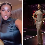 Chidimma Adetshina Breaks Silence After Withdrawing From Miss South Africa 2024 [Video]