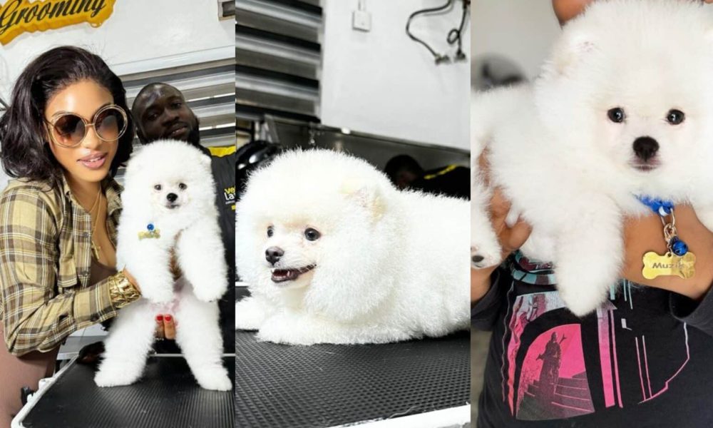 "Best $4000 I Have Spent” – Tonto Dikeh Takes Delivery Of Her New Dog Worth Over N6million [Photos]