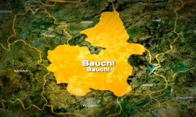 LP, YPP, AAC Win Councillor Seats In Bauchi Local Government Elections