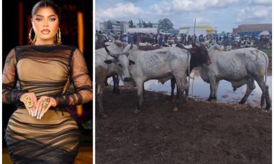 "I Fed Over 2,500 Inmates In Kirikiri Prison With 5 Cows, 10 Bags Of Rice” – Bobrisky