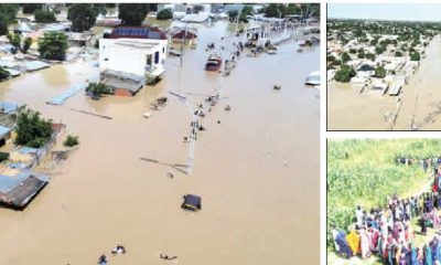 Borno Flood: Over 200 Inmates Flee Maiduguri Prison; 80% Of Zoo Animals Killed Or Escaped