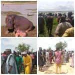 Hippopotamus Kills Emir Of Yauri's Guard In Kebbi