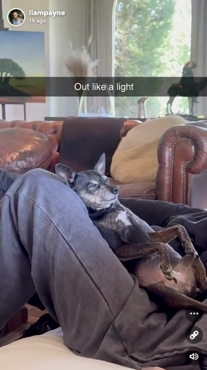 Watch Liam Payne's Last Video Shared Before He Fell To His Death In Argentina