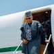 VP Kashim Shettima Abandons Samoa Trip After 'Foreign Object' Damaged His Plane