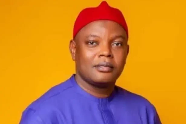 Enugu LG Chairman, Eric Odo Appoints Aides On Garden Egg, Pepper, Yam