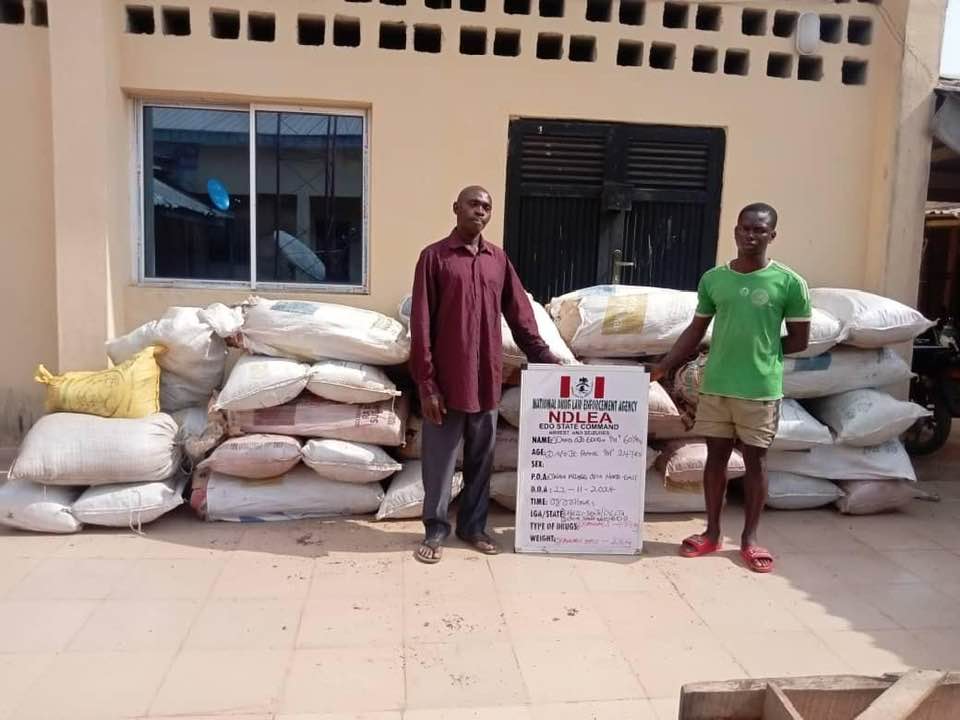 NDLEA Arrests Businessman for Swallowing 90 Wraps of Cocaine, Smashes Major Syndicates Across Nigeria 31