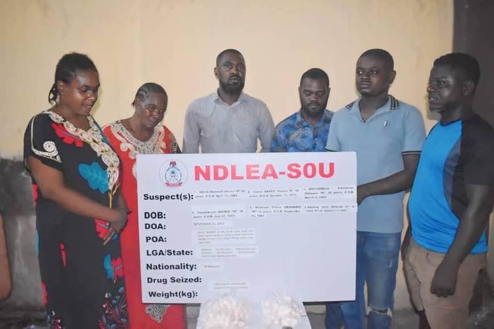 NDLEA Arrests Businessman for Swallowing 90 Wraps of Cocaine, Smashes Major Syndicates Across Nigeria 29