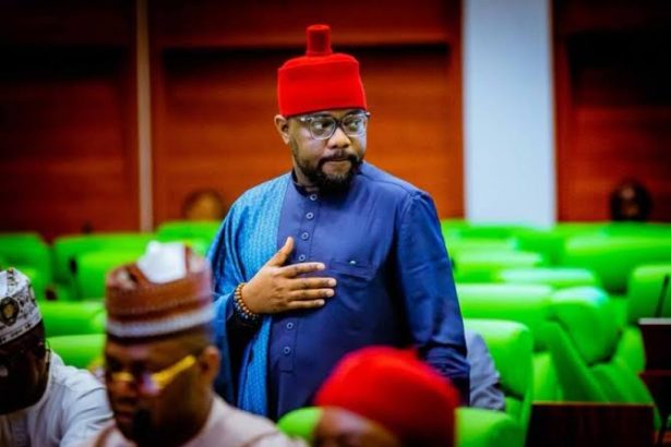 PDP Expels House Of Reps Member, Ikenga Ugochinyere Over Anti-Party Activities