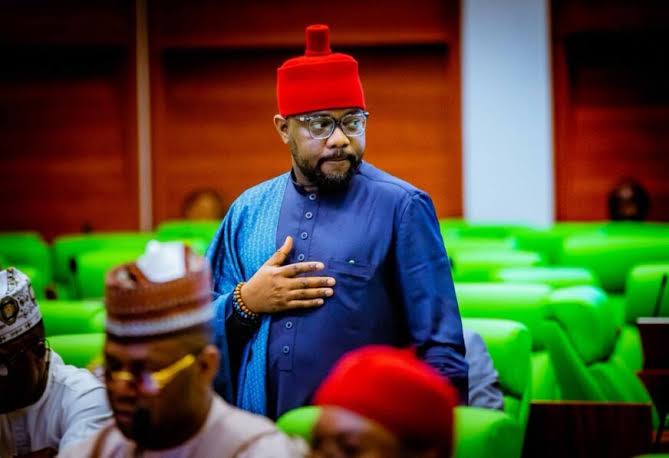 PDP Expels House Of Reps Member, Ikenga Ugochinyere Over Anti-Party Activities