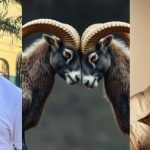 Speed Darlington Breaks Silence After His Release, Vows To Fight Back Against Burna Boy