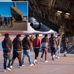 "Deportation Flights Have Begun," As Trump Flies Illegal Immigrants Back To Their Countries