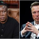 "You’re A Spoiled Brat Who Has Lost Your Left Brain" - Julius Malema Slams Elon Musk