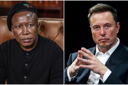 "You’re A Spoiled Brat Who Has Lost Your Left Brain" - Julius Malema Slams Elon Musk
