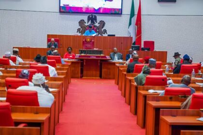 National Assembly Passes Tinubu’s ₦54.99 Trillion 2025 Budget