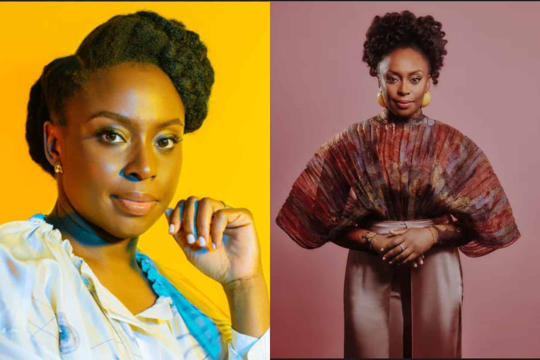Chimamanda Adichie Confirms Birth Of Twin Boys, Reveals Why She Kept It Secret 1 Chimamanda Adichie Confirms Birth Of Twin Boys, Reveals Why She Kept It Secret