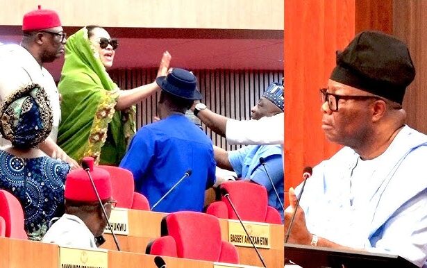 "NASS Not For Content Creation" - Senate Faults Natasha’s Outburst Against Akpabio