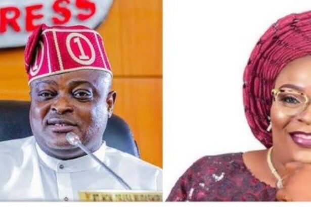 Mudashiru Obasa Re-Elected As Lagos Speaker After Mojisola Meranda's Resignation