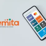 FG Introduces New Revenue Platform TMRAS, Says Remita Will Be Integrated