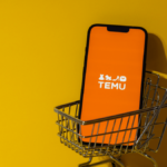 How Temu Is Empowering Nigerian Women Through Entrepreneurship 1