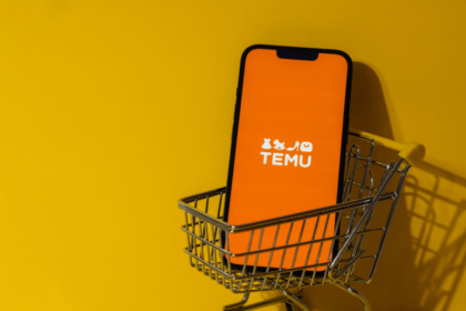 How Temu Is Empowering Nigerian Women Through Entrepreneurship 8