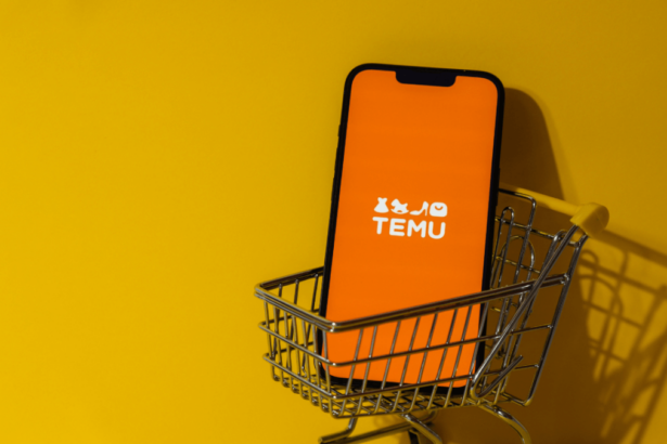 How Temu Is Empowering Nigerian Women Through Entrepreneurship 2