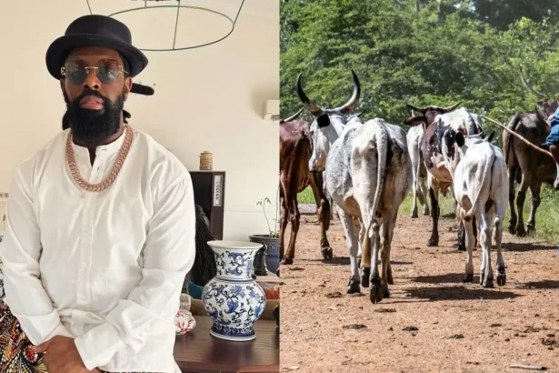 Timaya Raises Alarm Over Herdsmen's Destruction Of Farmlands In Bayelsa