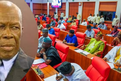 Senate Rejects Proposal To Rename INEC Headquarters After Humphrey Nwosu