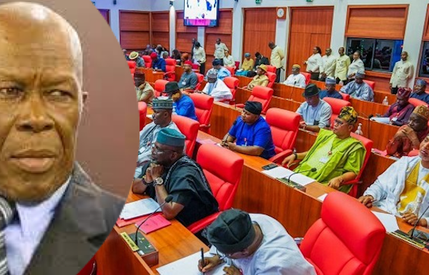 Senate Rejects Proposal To Rename INEC Headquarters After Humphrey Nwosu