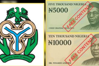 CBN Dismisses Claims Of N5,000 And N10,000 Banknotes Introduction
