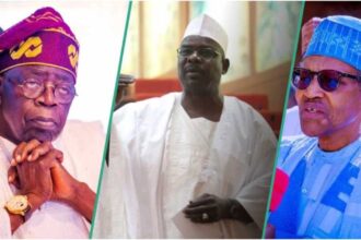 Buhari's Followership Is Occultic, Tinubu Should Be Worried If He's Not On His Side - Ndume