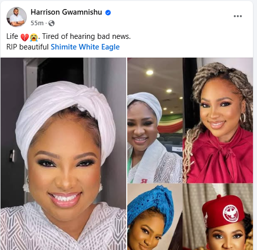 Delta Governor’s Aide, Shimitte Winifred Bello Dies Over Alleged Domestic Violence