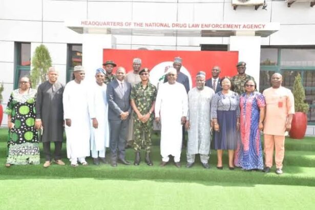 NDLEA Boss Marwa Reaffirms Mandatory Drug Tests For NYSC Corps Members