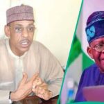 Hakeem Baba-Ahmed Says He Won't Work For Tinubu’s Government Again