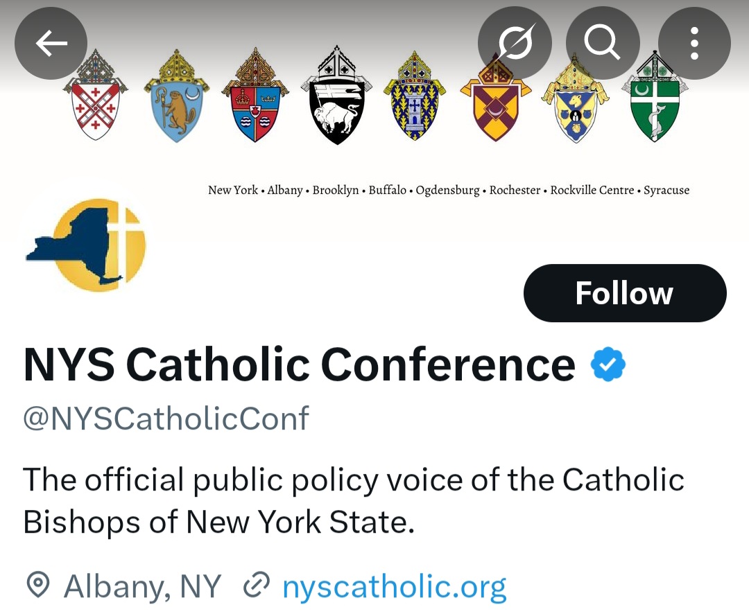 Catholic Conference Of New York Reacts To AI Image Of Trump Dressed As Pope