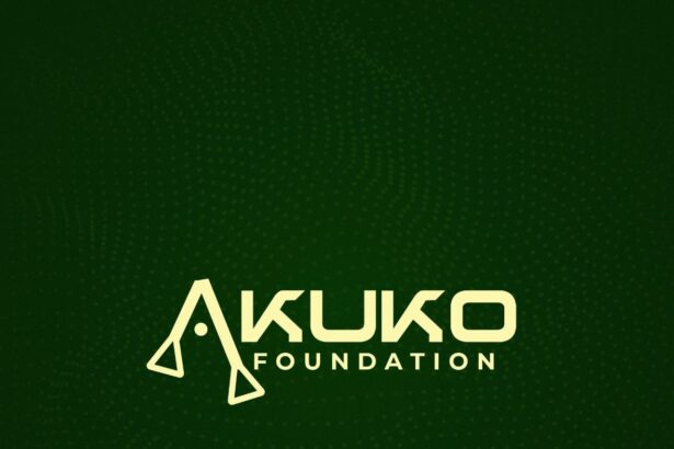 Akuko Foundation Calls for Protection of Journalists and Transparency from Public Institutions 2