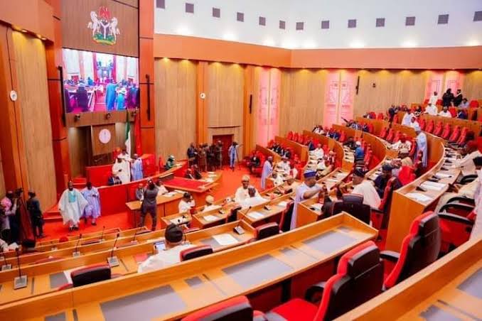 Nigerian Senate Plans To Hold Two-Day National Security Summit