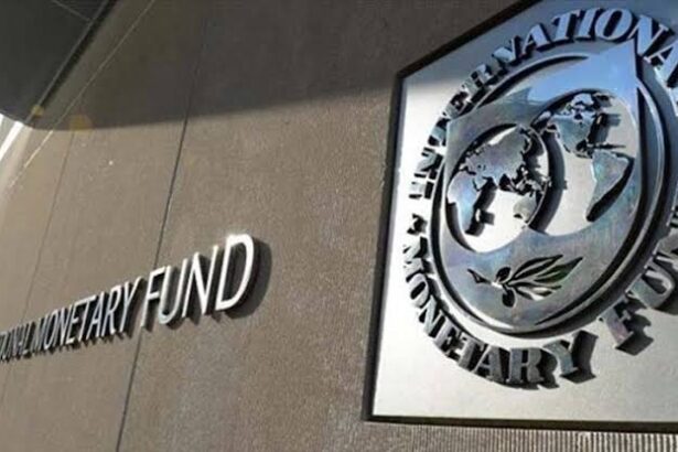 IMF Confirms Nigeria Has Fully Repaid $3.4 Billion Loan