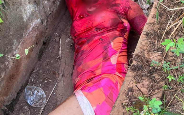 Sεx Worker Brutally Killed By Suspected Ritualists In Ogun, Private Part Removed