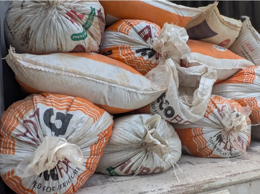 EFCC Arrests Six Nigerians And Two Chinese Nationals For Illegal Mining In Ogun