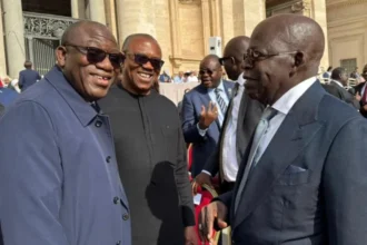 Tinubu Meets Peter Obi And Fayemi At Pope Leo’s Inauguration Ceremony [Photos]