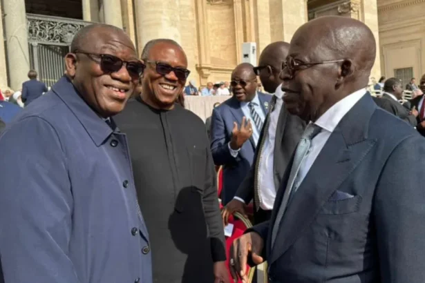Tinubu Meets Peter Obi And Fayemi At Pope Leo’s Inauguration Ceremony [Photos]