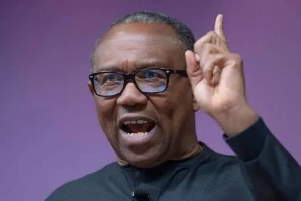 Peter Obi Criticizes Adamawa LG Chairmen For Sponsoring Wives To Turkey