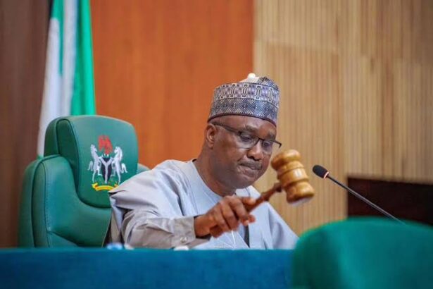 Reps Speaker Abbas Tajudeen Withdraws Bill On Mandatory Voting