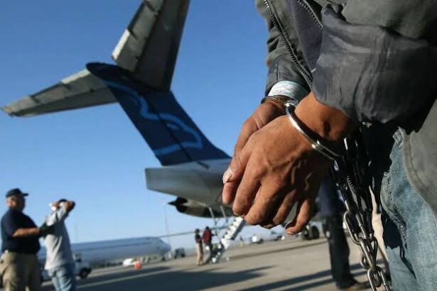 Ireland Deports 35 Nigerians Over Immigration Violations