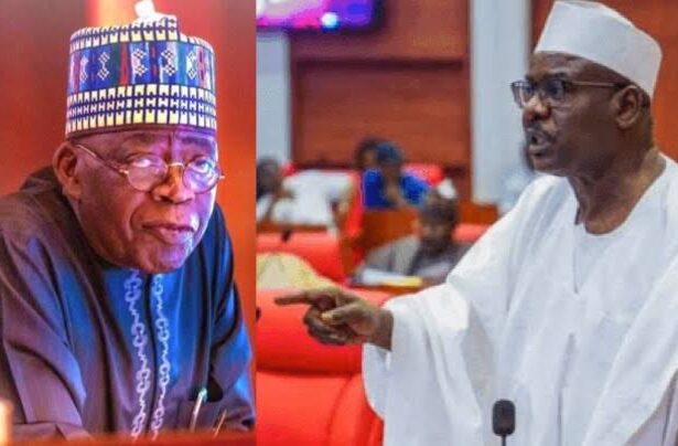 I Pity Tinubu, 22 PDP Governors Endorsed Jonathan Yet He Lost Re-Election — Ali Ndume