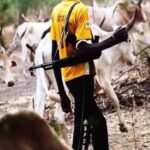 Suspected Fulani Herdsmen Kill Over 10 People In Enugu