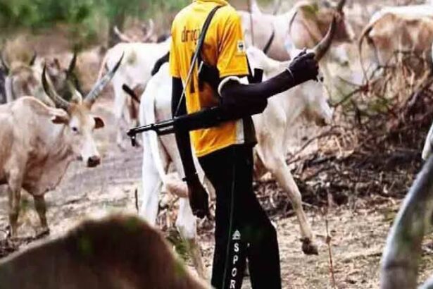 Suspected Fulani Herdsmen Kill Over 10 People In Enugu