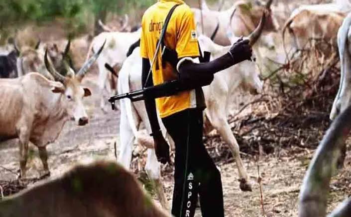 Suspected Fulani Herdsmen Kill Over 10 People In Enugu