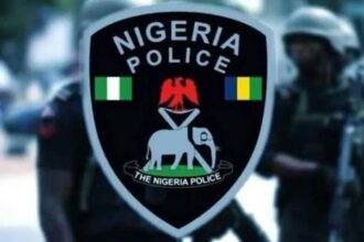 Police Arrests Seven Staff For Stealing N20m Goods From Employers' Shop In Ondo